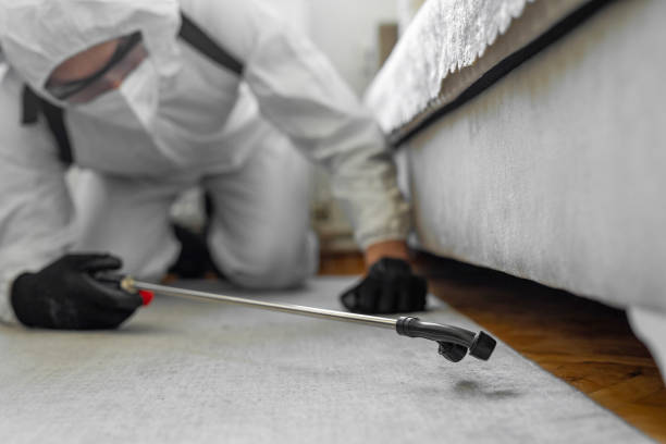 Professional Termite Control technician working in Bellflower, CA