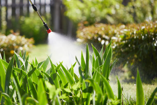 24/7 Emergency Termite Control experts in Bellflower, CA